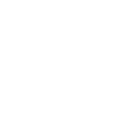 Space icon